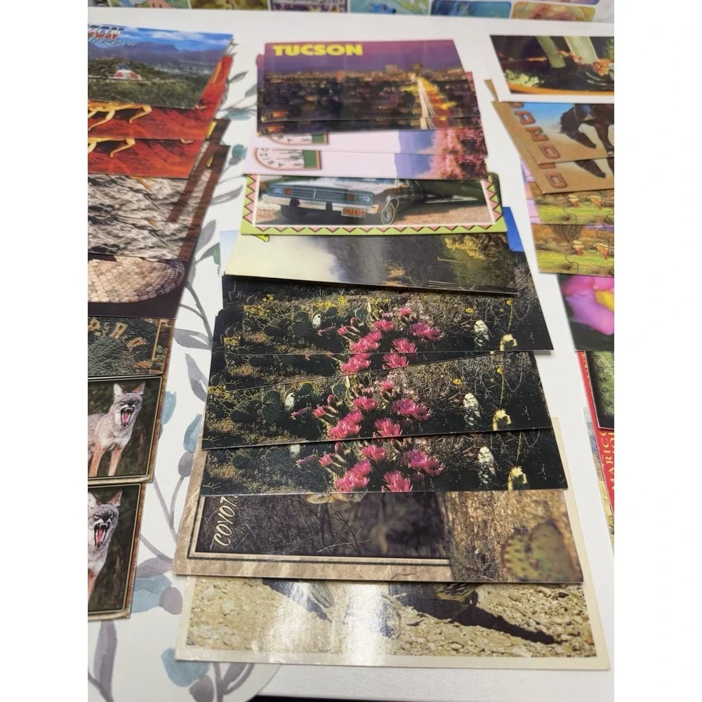 Vintage Arizona Postcards‎ Lot of 30 Tucson Desert Wildlife Scenic 80s 90s